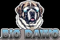 BigDawg Commpiler